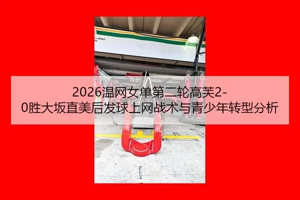 wen-wang-nv-dan-di-er-lun-gao-fu-sheng-da-ban-zhi-mei-hou-fa-qiu-shang-wang-zhan-shu-yu-qing-shao-nian-zhuan-xing-fen-xi-2-207.jpg